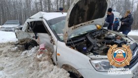 На трассе в Башкирии водитель 