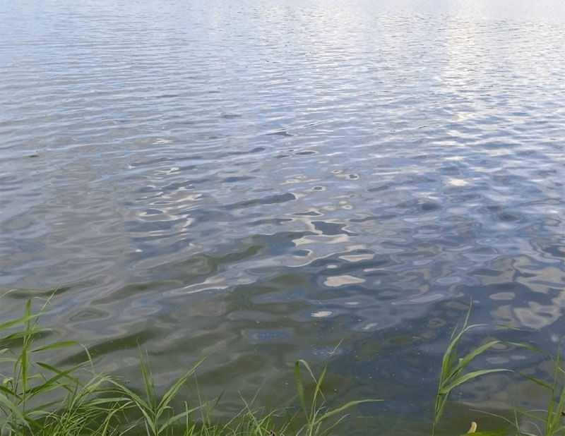 В Башкирии в Кармановском водохранилище утонула пенсионерка
