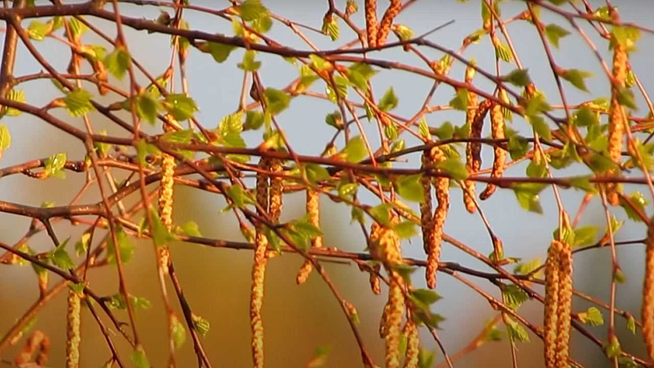 В Башкирии будет тепло как летом
