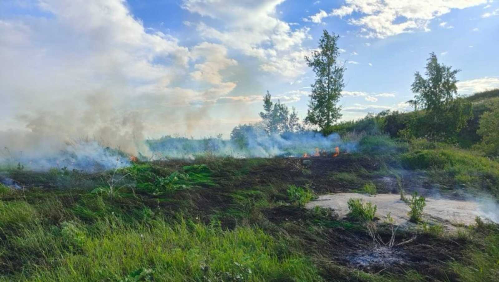 В Башкирии зафиксированы два новых случая возгорания растительности