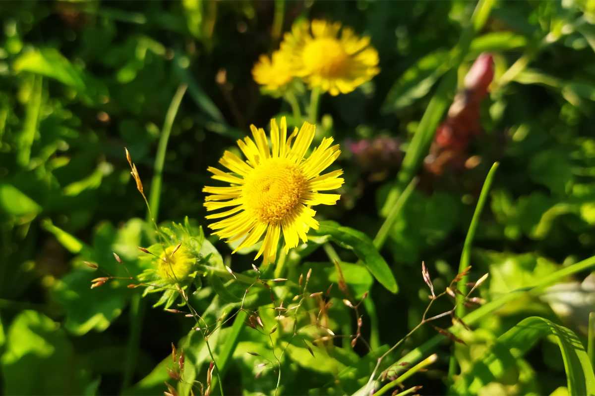 Синоптики расстроили жителей Башкирии прогнозом погоды