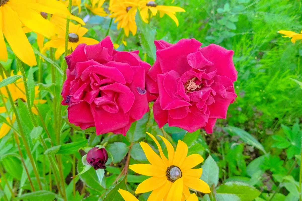 Август подготовил Уфе погодные сюрпризы