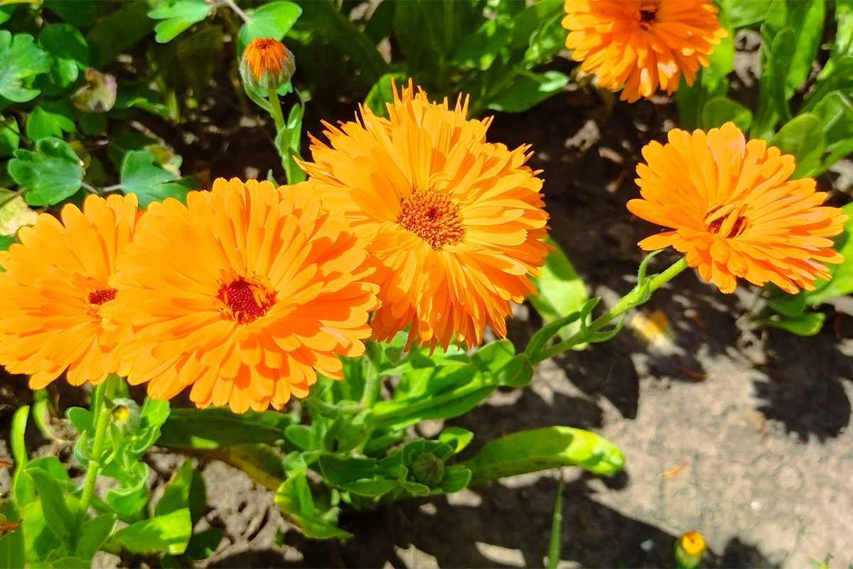 Лето возвращается в Башкирию. Синоптики назвали точную дату окончания дождей