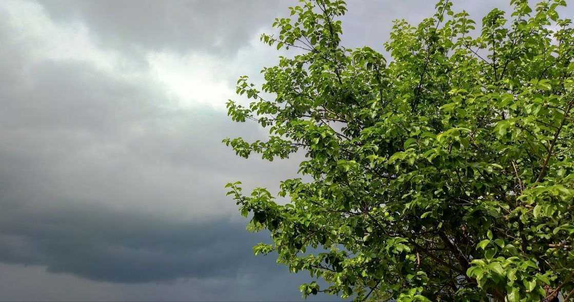 Сильный ветер и жара: синоптики предупредили о погодной опасности в Башкирии