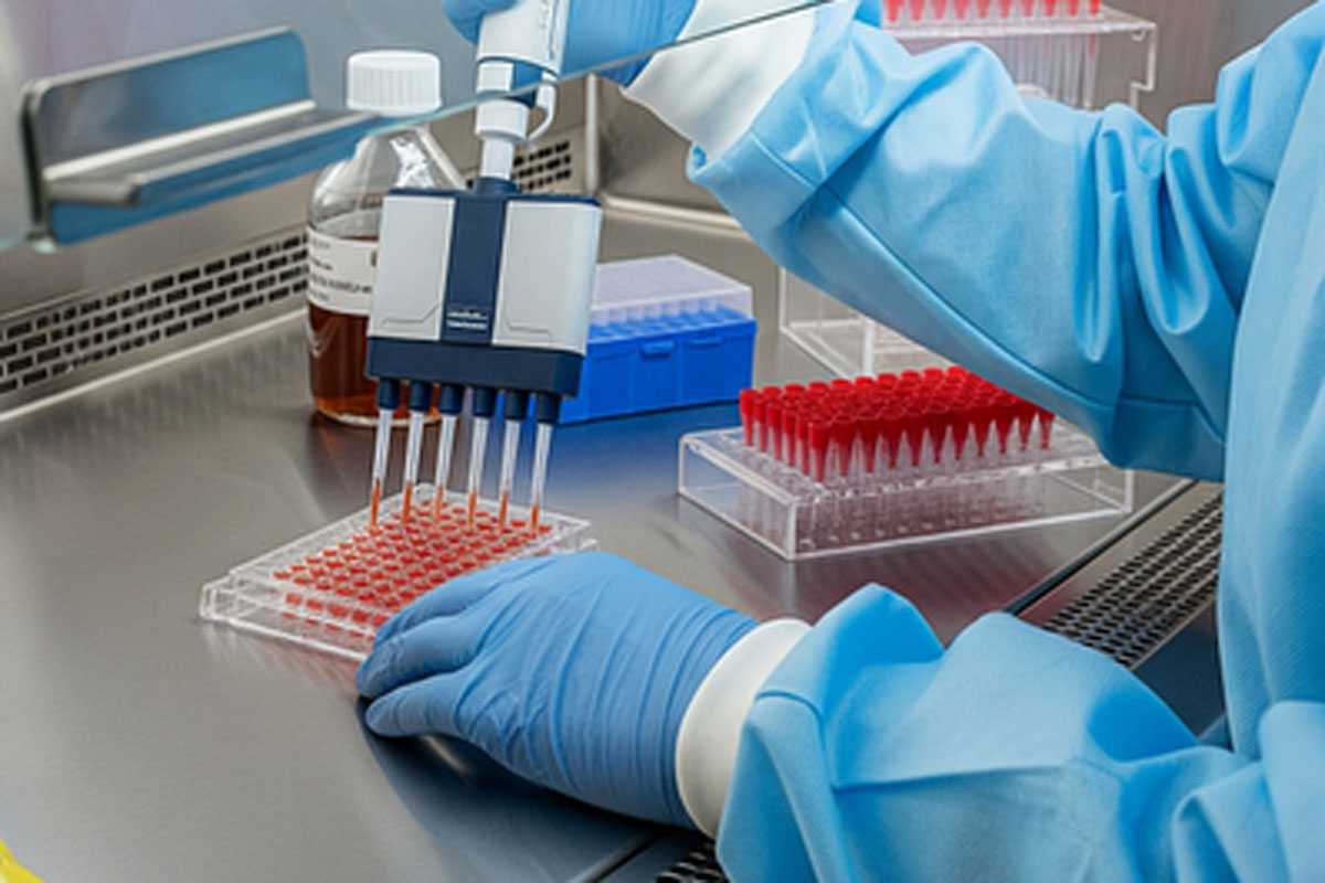 В Башкирии — опасность мышиной лихорадки. Как защитить себя и близких