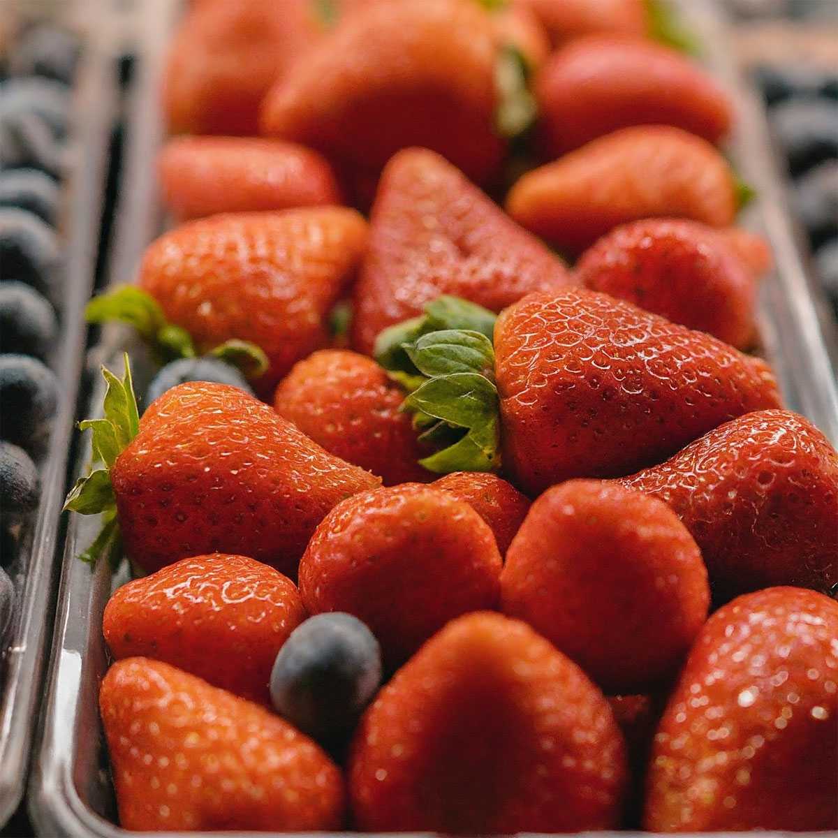 Один куст клубники → 10 новых растений за 3 недели: пошаговая инструкция размножения усами