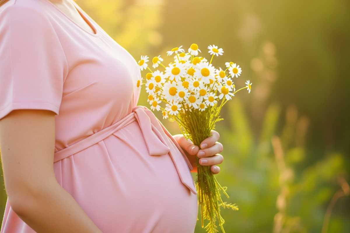 В Башкирии студентки получили доступ к новому сервису для оформления «декретных»