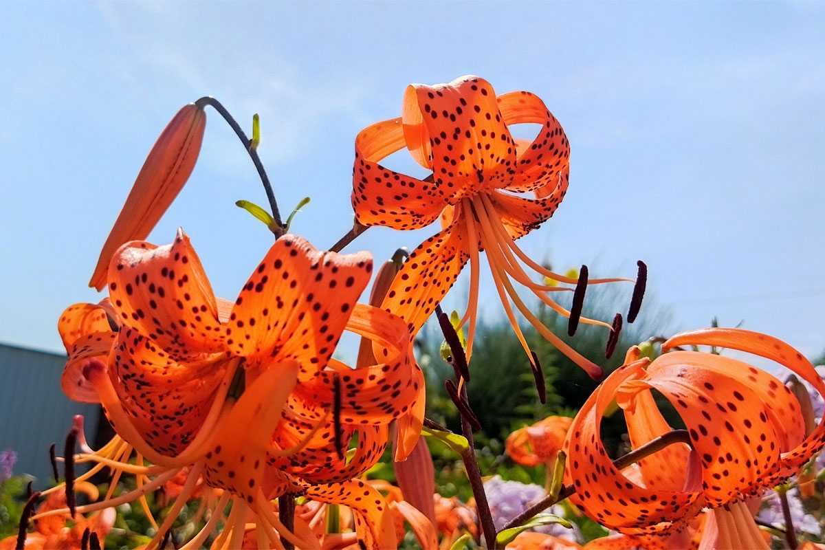 В Башкирии будет жарко