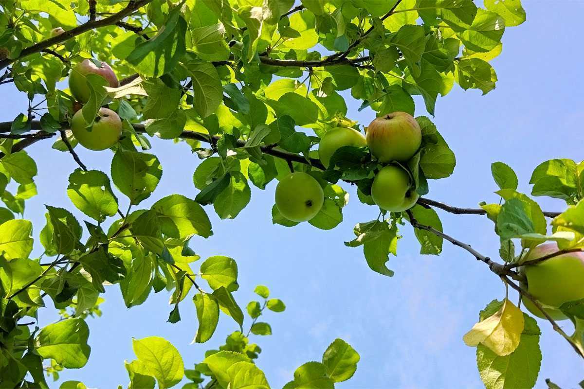 Башкирию ждёт погодный сюрприз, которого никто не ожидал