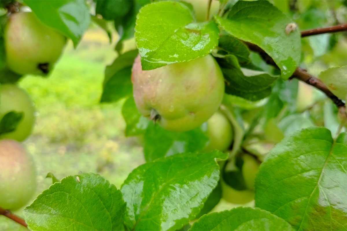 В Башкирии погода приготовила удивительный сюрприз