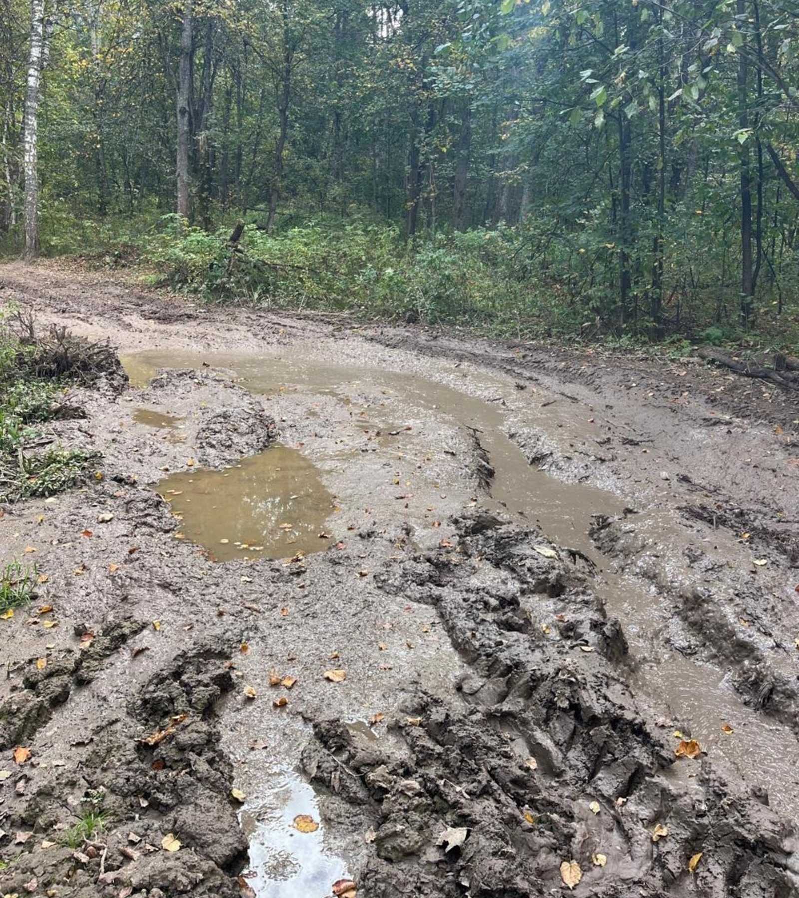 В Башкирии закрыли дорогу к водопаду Куперля из-за размытого дождями пути
