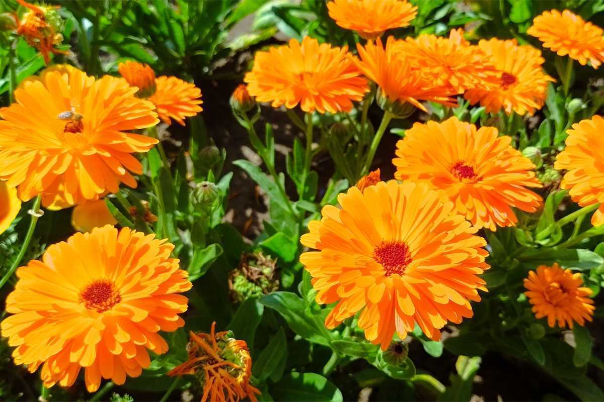 Синоптики обещают жителям Башкирии нечто особенное