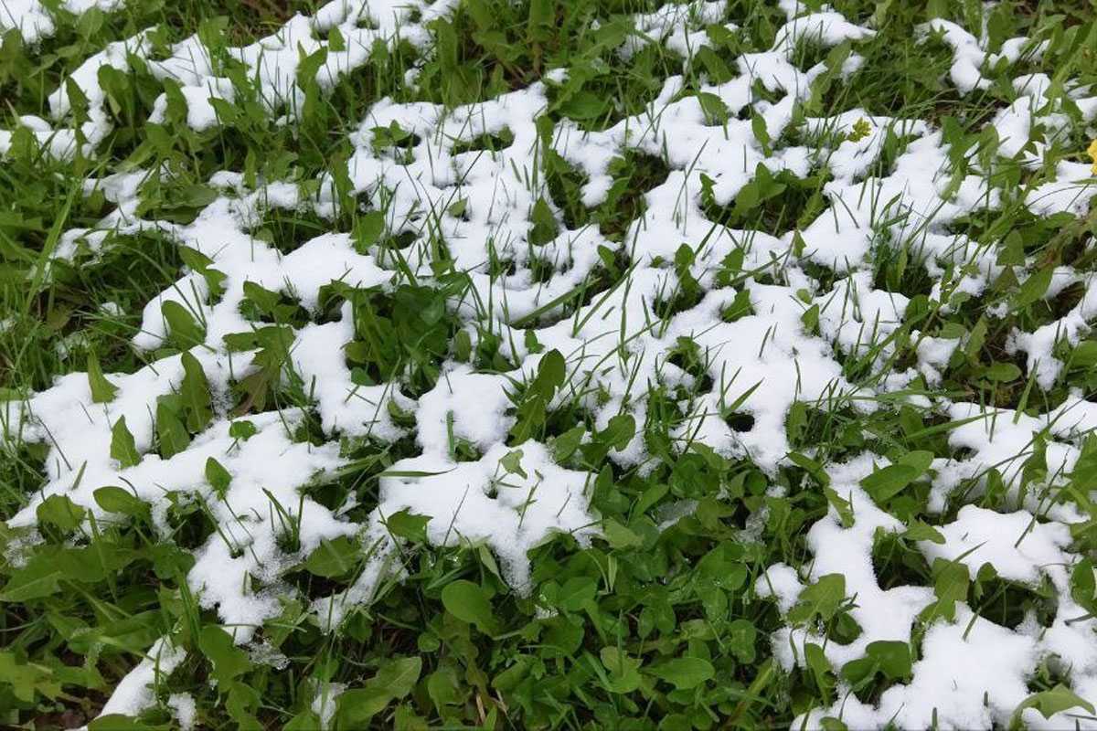 Бабье лето в Башкирии сменится заморозками