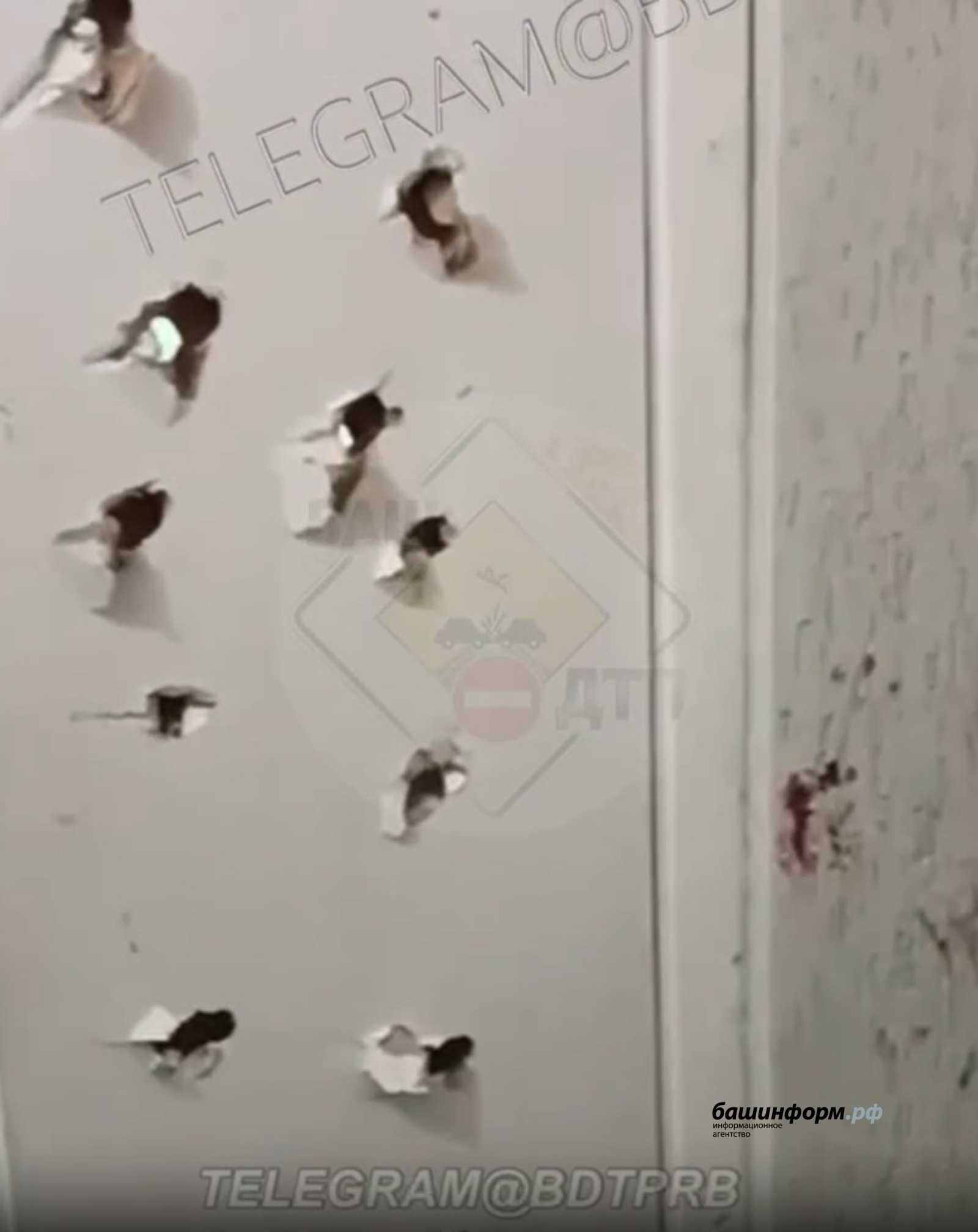 Под Уфой мужчина с молотком напал на женщину на детской площадке