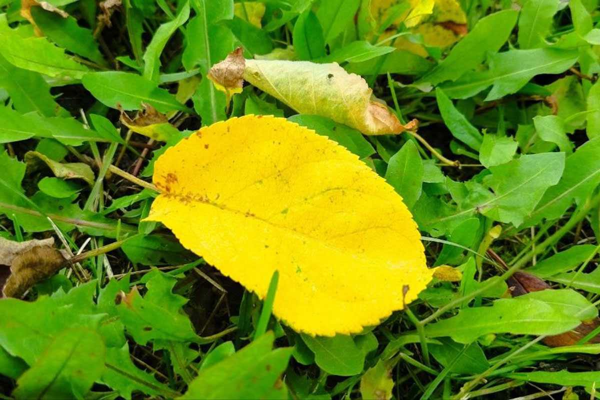 В Башкирии потеплеет перед резким похолоданием