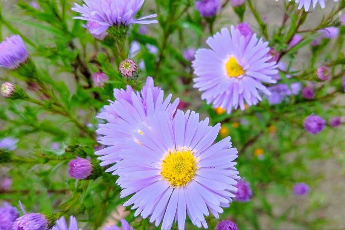 В Башкирии прогнозируют погодную аномалию