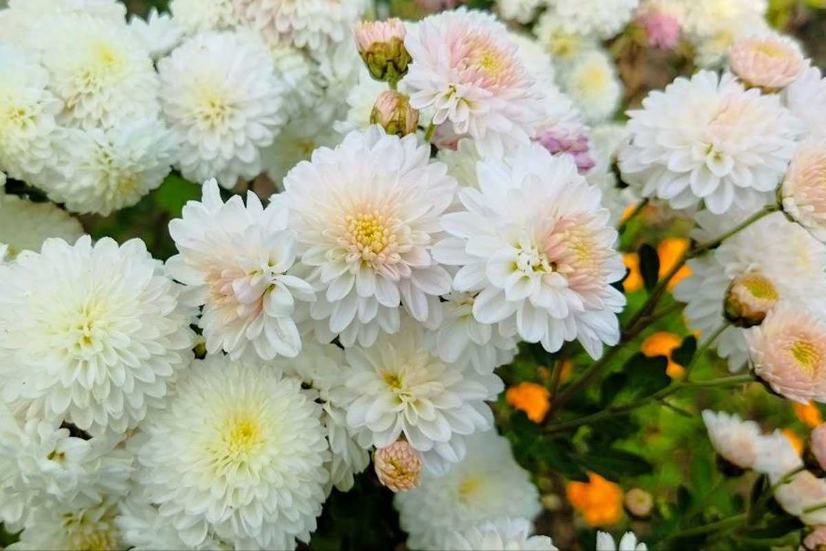 Тепло уходит из Башкирии? Синоптики обещают резкое падение температуры