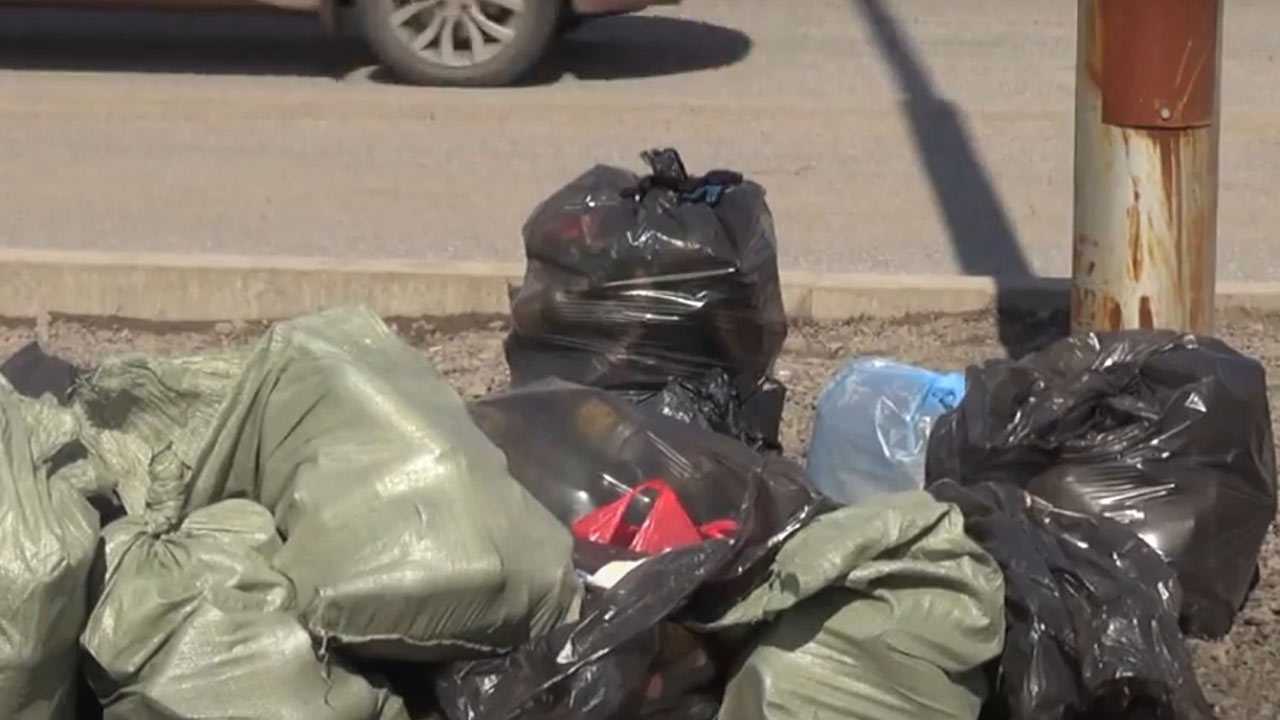 Больше никакой вони из мусорного ведра: насыпьте на дно то, что вы обычно выбрасываете — 4 решения проблемы