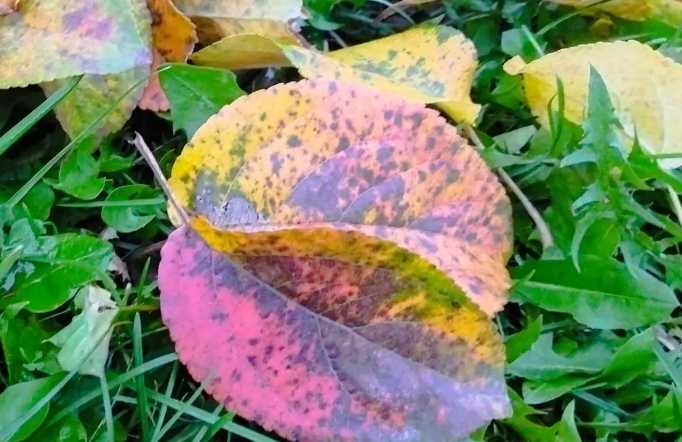 Октябрь в Башкирии начнётся с приятного сюрприза