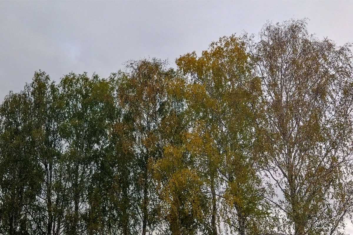 Погода в Башкирии удивит жителей республики