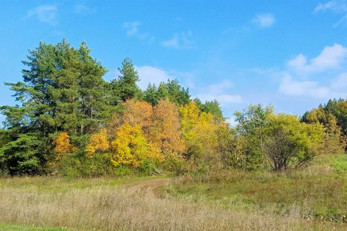 Погода в Башкирии преподнесёт сюрприз — такого давно не было