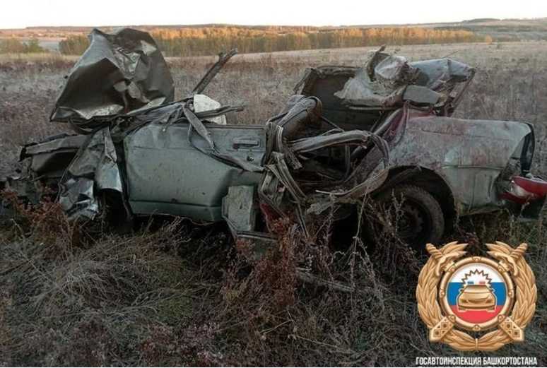 Ночное ДТП в Башкирии: трое молодых людей погибли после столкновения с лошадью