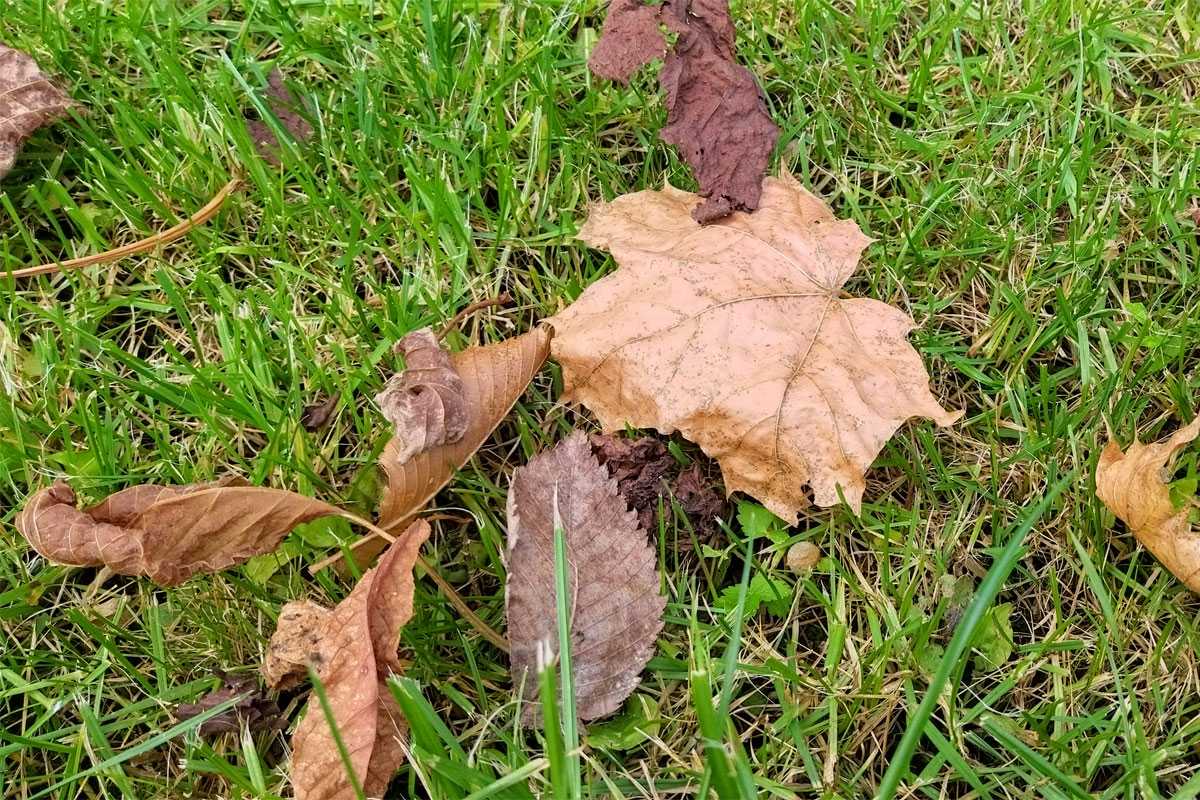 В Башкирию возвращается тепло