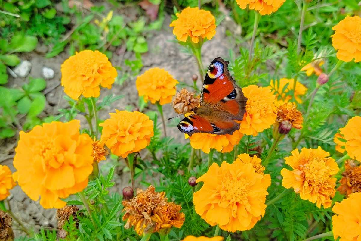 В Башкирии будет шикарная погода