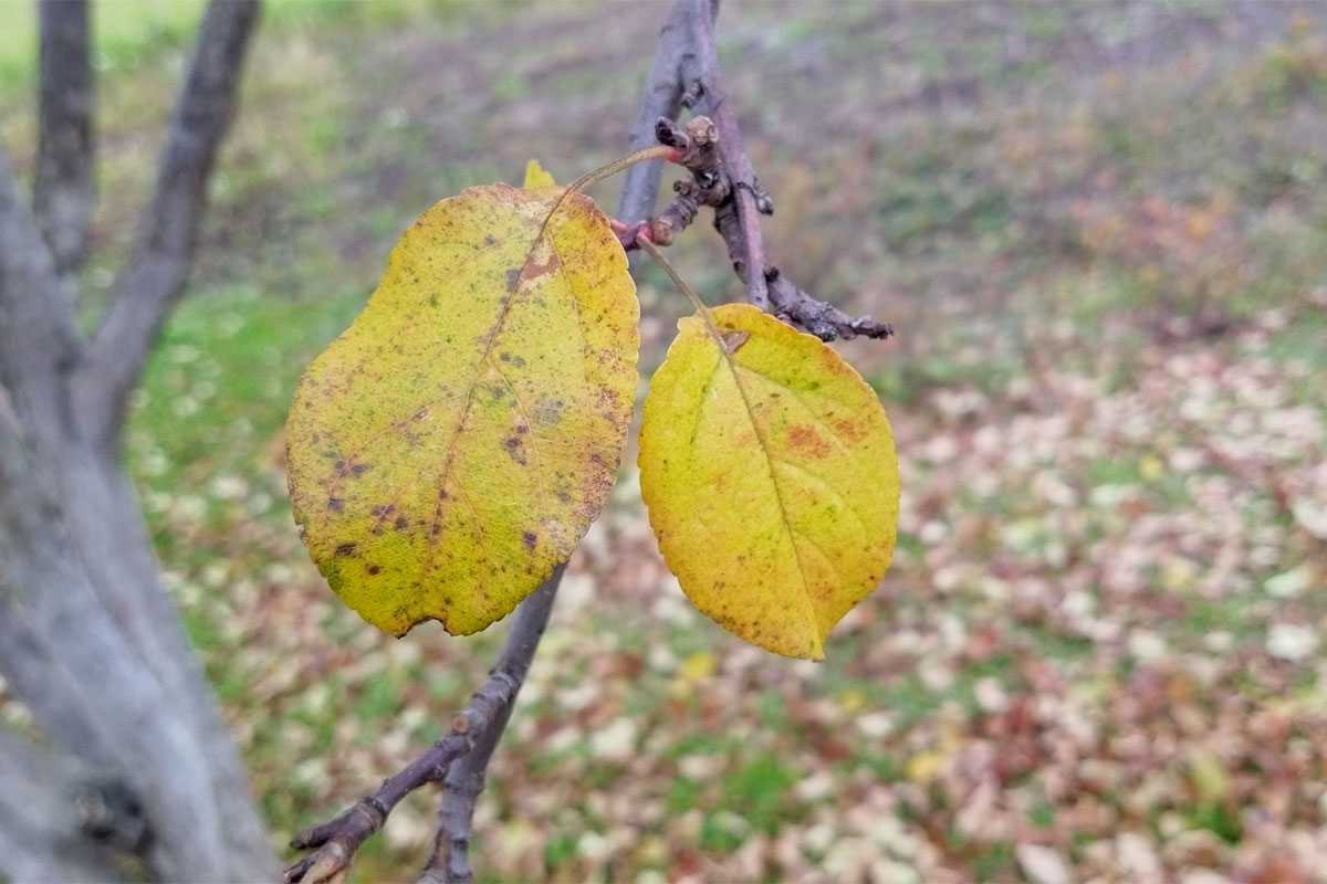 Жителей Башкирии предупредили о мокром снеге и гололедице