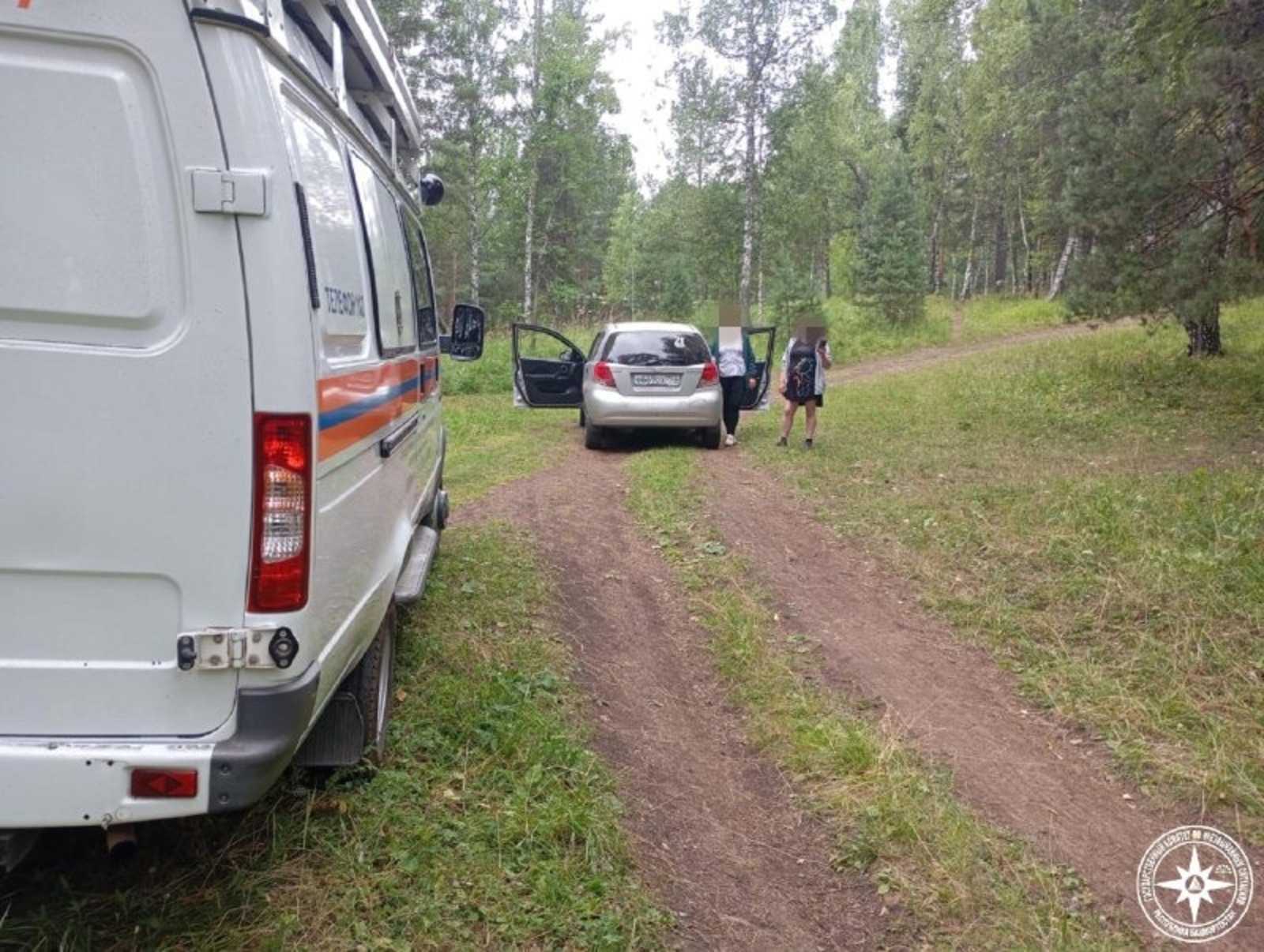 За сутки в лесах Башкирии заблудились 3 человека