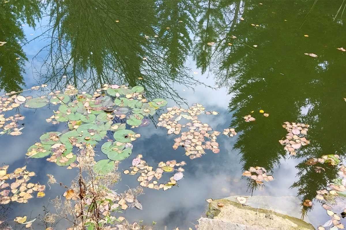 Погода удивит жителей Башкирии в последние дни октября