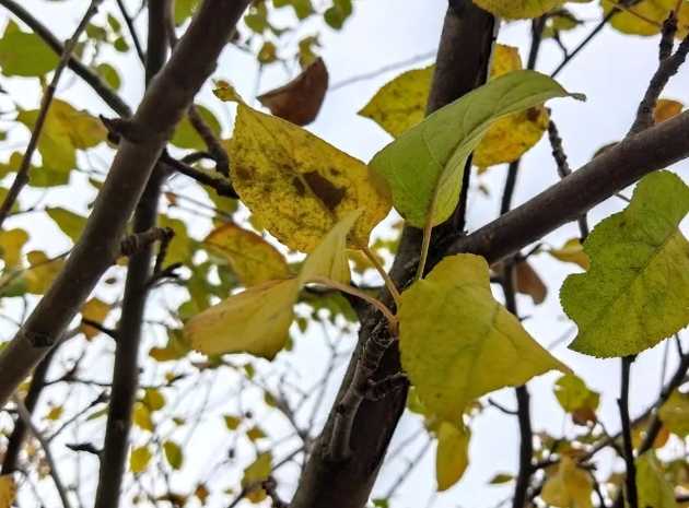 В Башкирии удивили прогнозом погоды