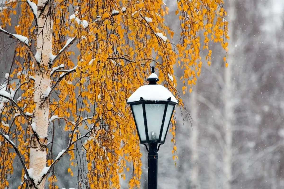 В Башкирии погода готовит неожиданный сюрприз