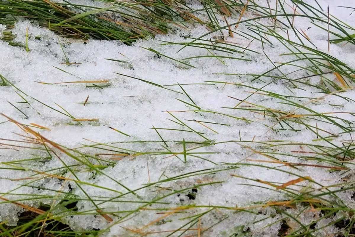 Дождь со снегом и гололедица: в Башкирии прогнозируется резкое ухудшение погоды