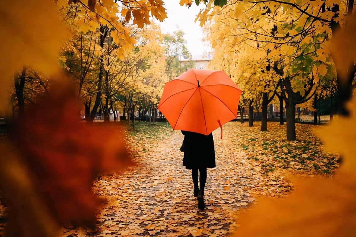 Ледяной дождь и туман: жителей Башкирии предупредили об опасной погоде