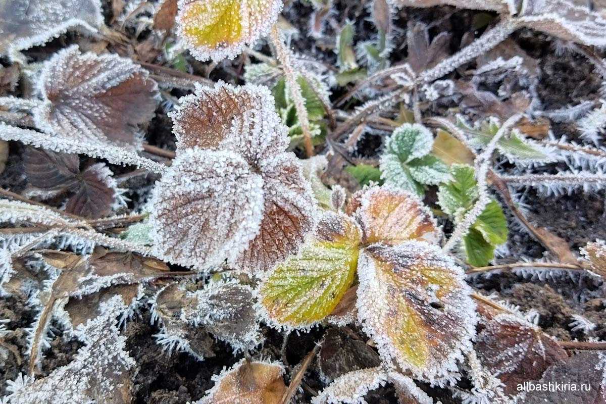 Дожди, мокрый снег и гололедица: синоптики озвучили прогноз погоды в Башкирии на воскресенье