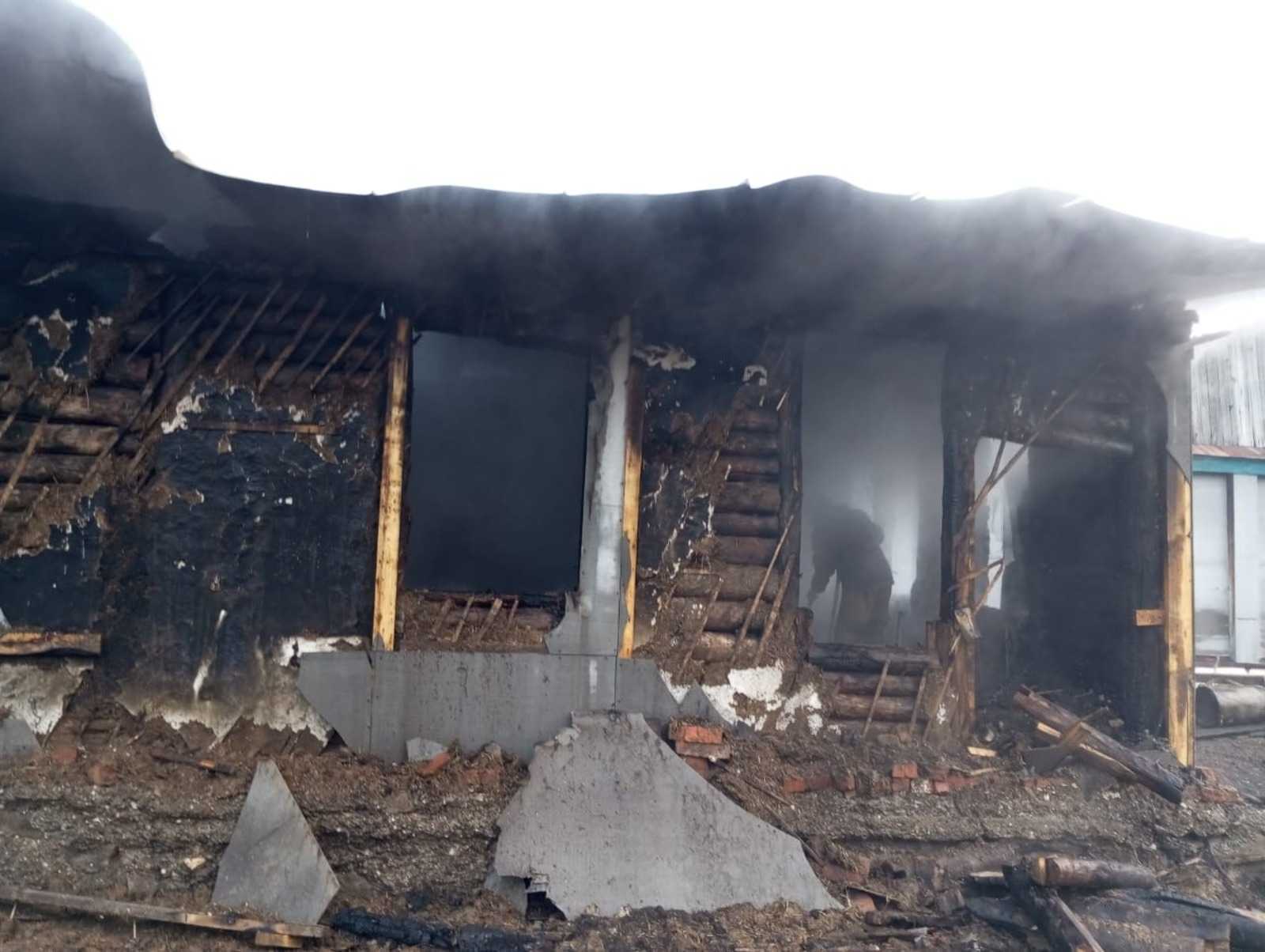 В Башкирии с начала года на пожарах погибли 176 человек