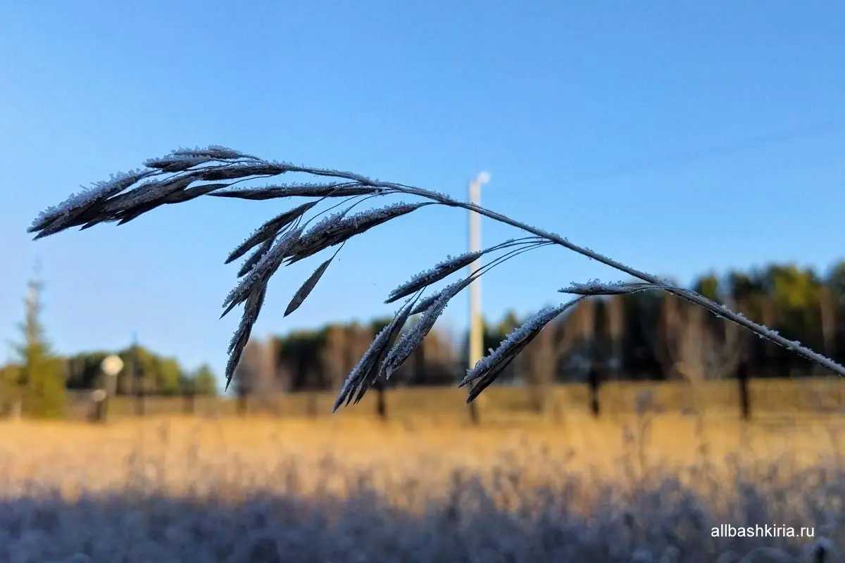 В Башкирии резко похолодает