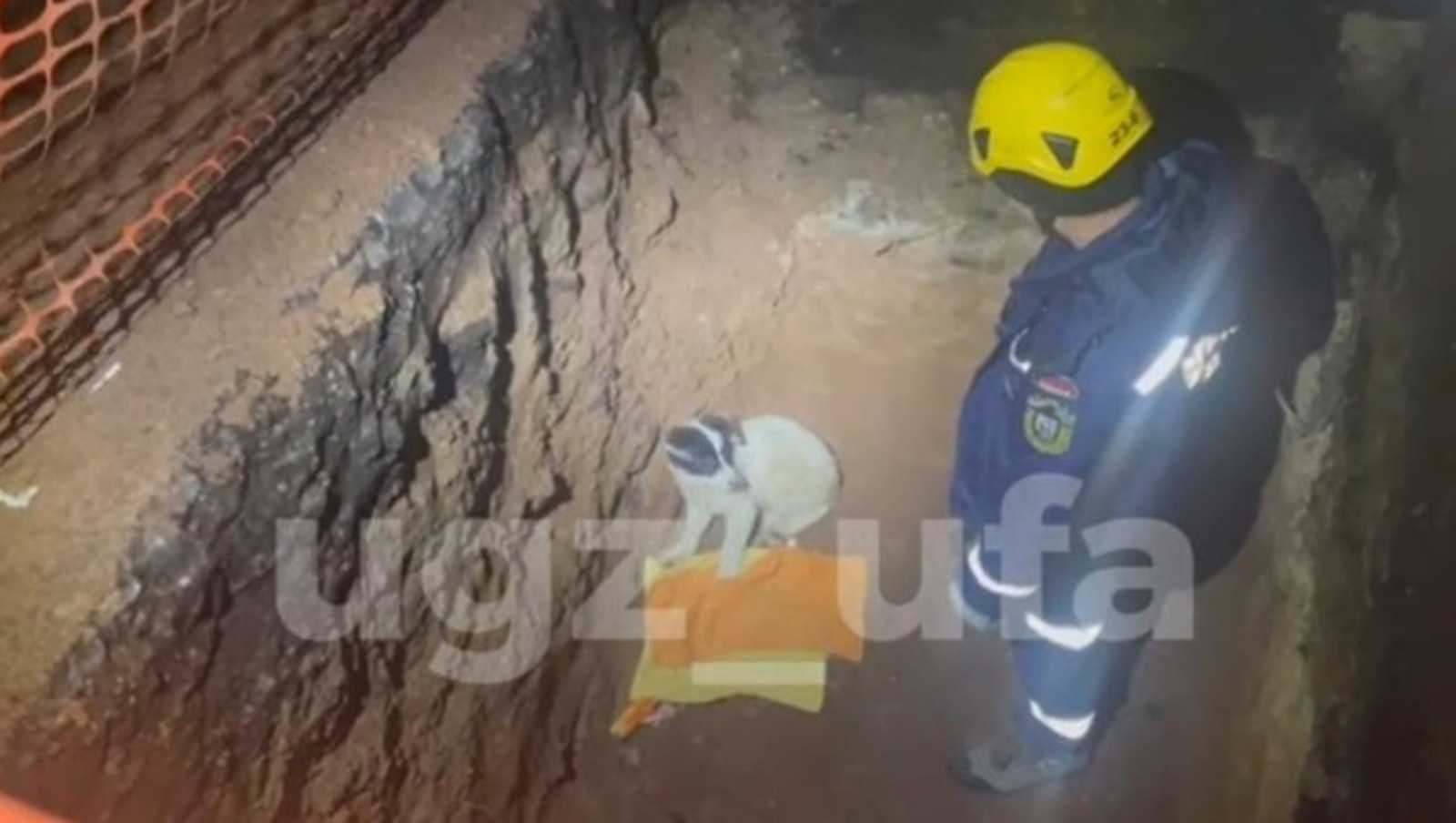 В Уфе спасатели вытащили собаку из ямы возле кинотеатра «Смена»