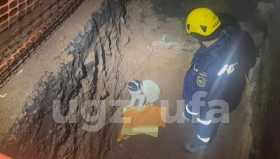 В Уфе спасатели вытащили собаку из ямы возле кинотеатра «Смена»