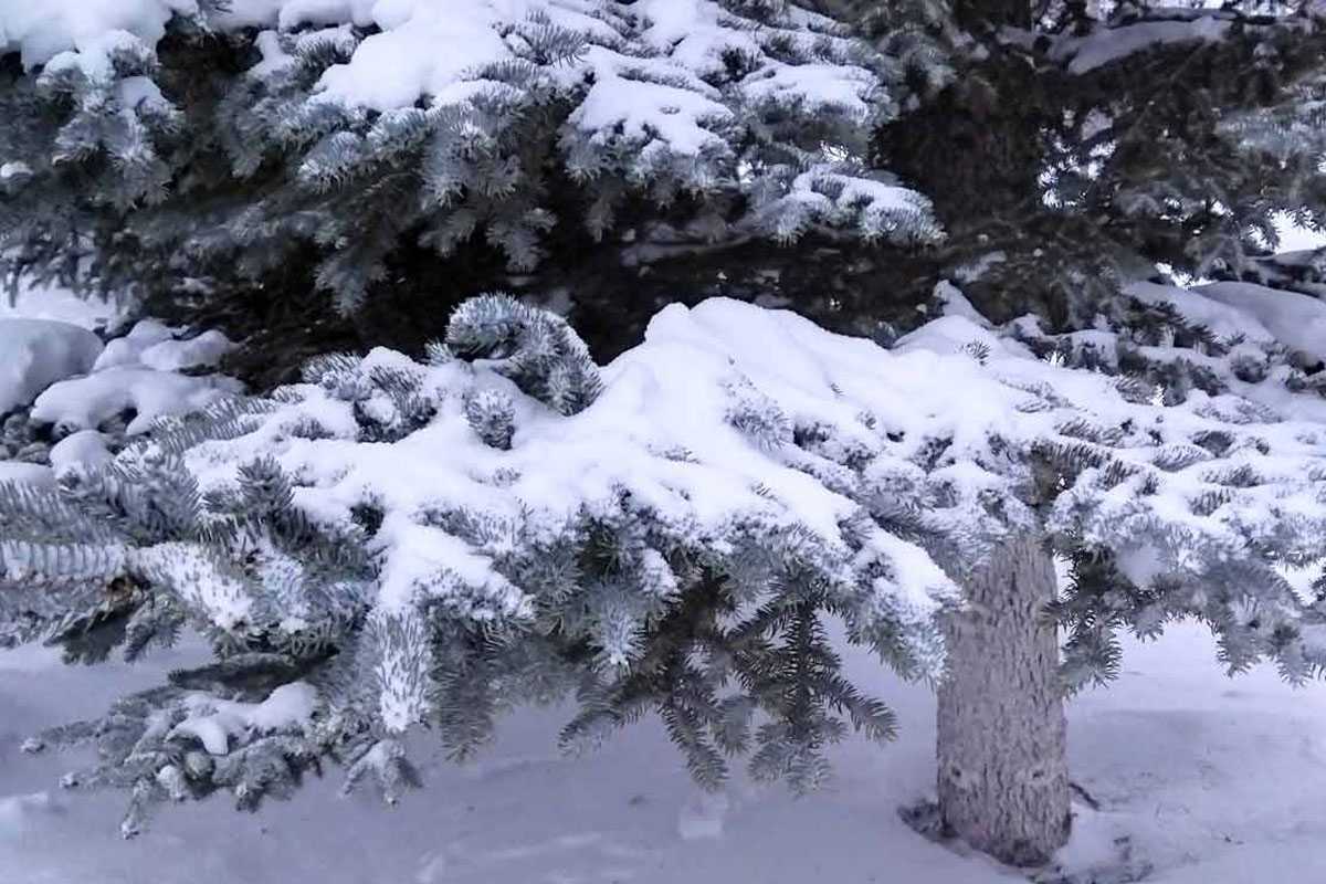 В Башкирии погода вновь удивит