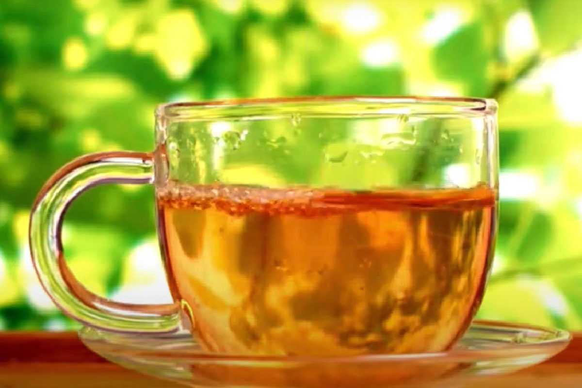 Врачи рассказали невероятное: эти три напитка точно спасут от ОРВИ, гриппа и ковида