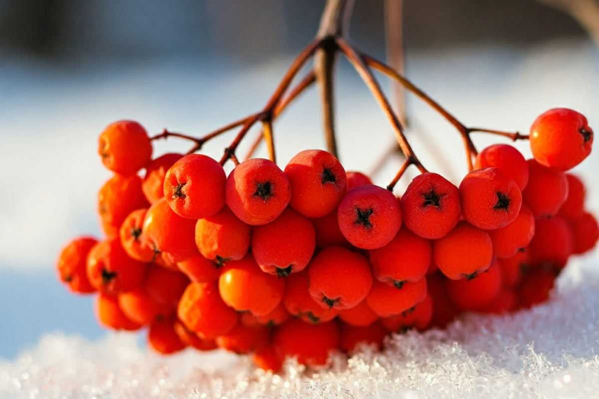 В Башкирии ночью похолодает до -25 градусов