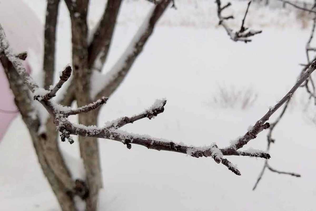 Синоптики прогнозируют потепление в Башкирии
