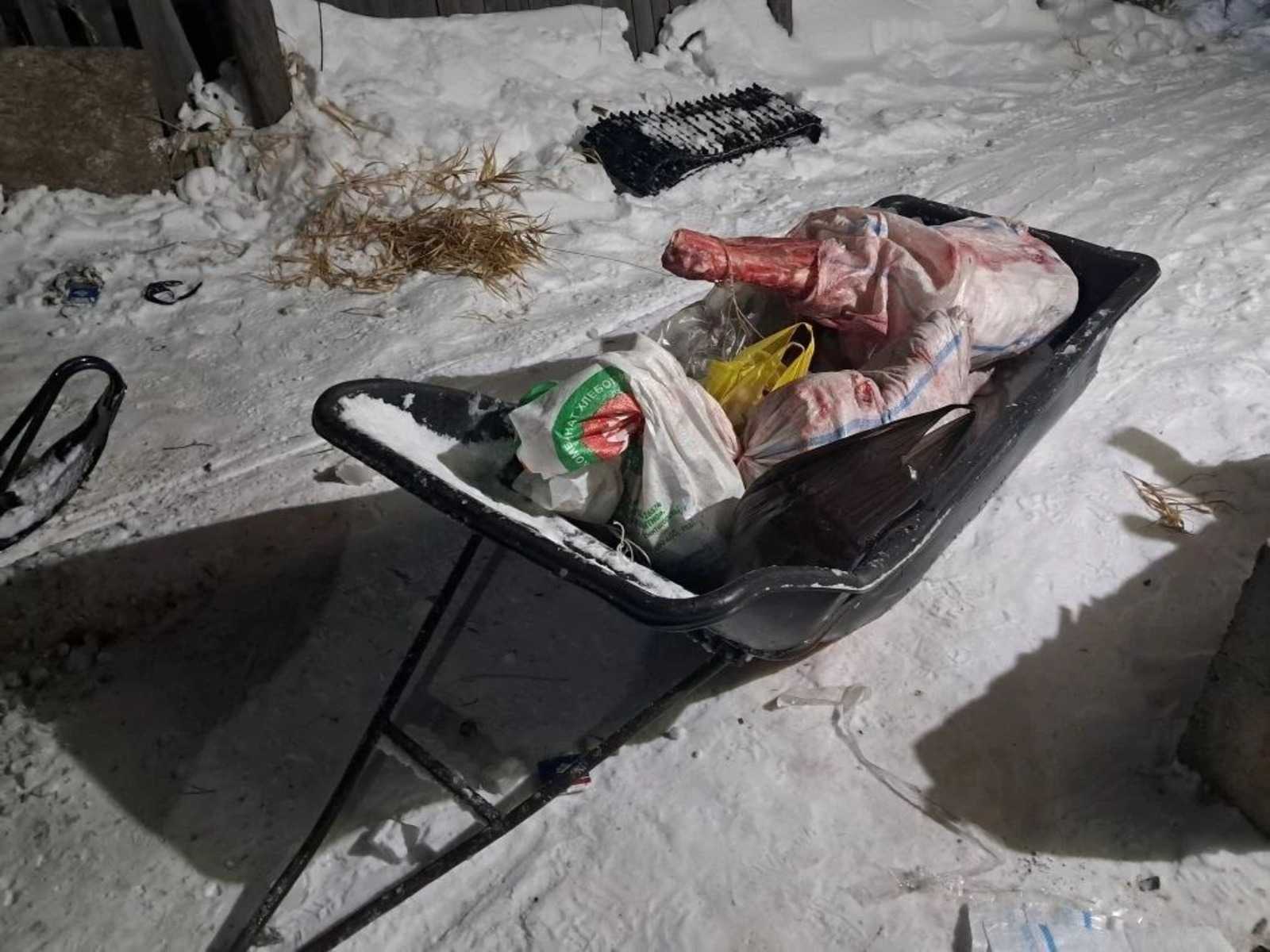 В Башкирии задержали браконьеров за убийство лося в заказнике «Алтын Солок»