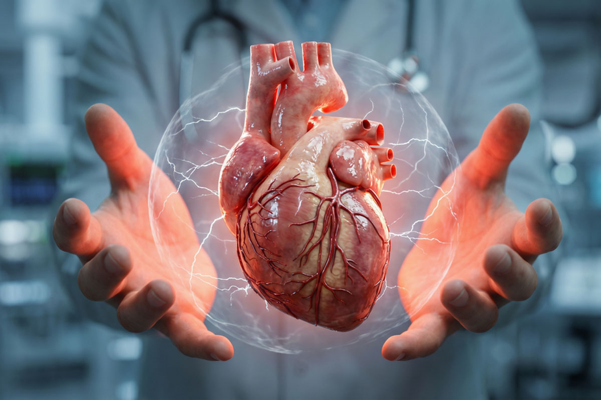 Врач рассказала, как уберечь себя от инсульта: важно соблюдать несколько правил