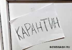 В двух районах Башкирии с 12 января ввели карантин по бешенству