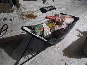 В Башкирии задержали браконьеров за убийство лося в заказнике «Алтын Солок»