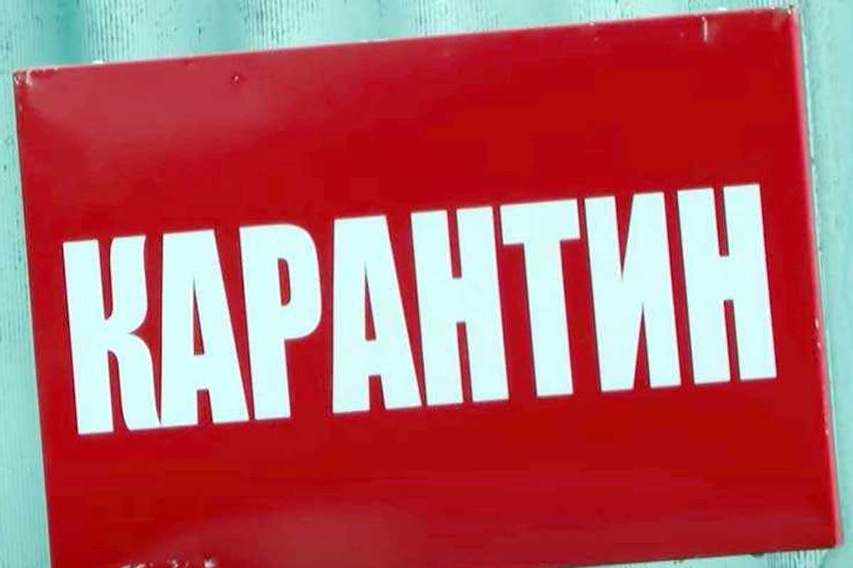 Глава Башкирии подписал указ о карантине по бешенству в Баймакском районе