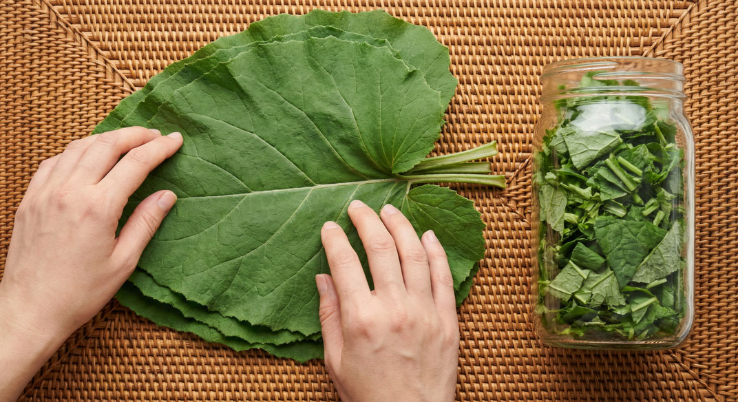 Снижение сахара, очищение суставов, противоопухолевый эффект: это растение настоящий клад